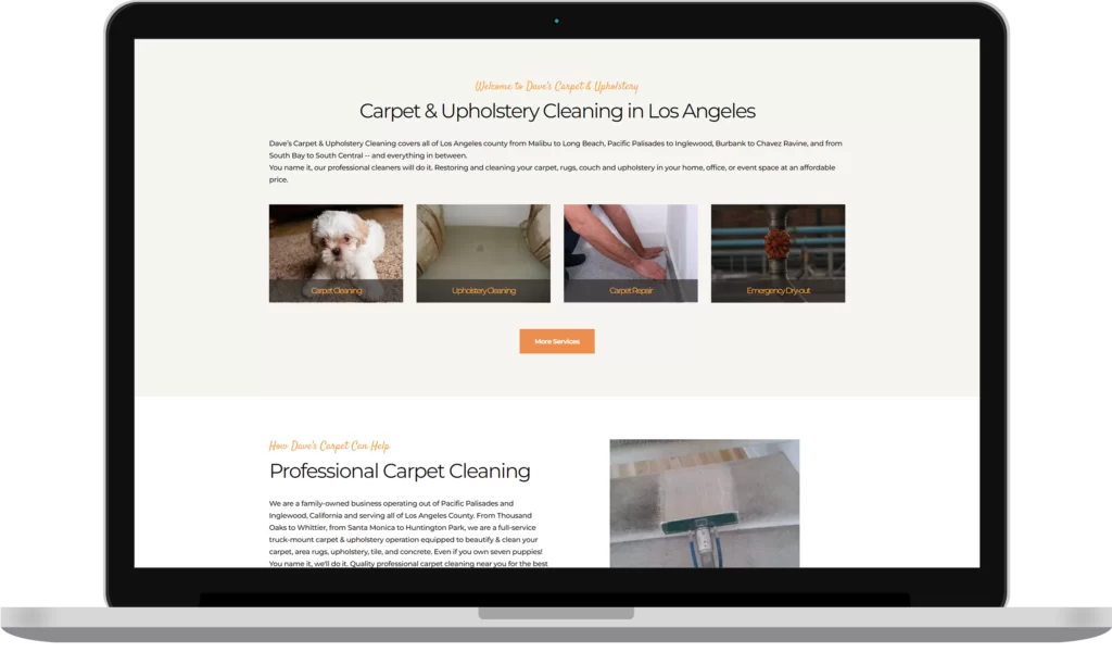 carpet cleaning website development