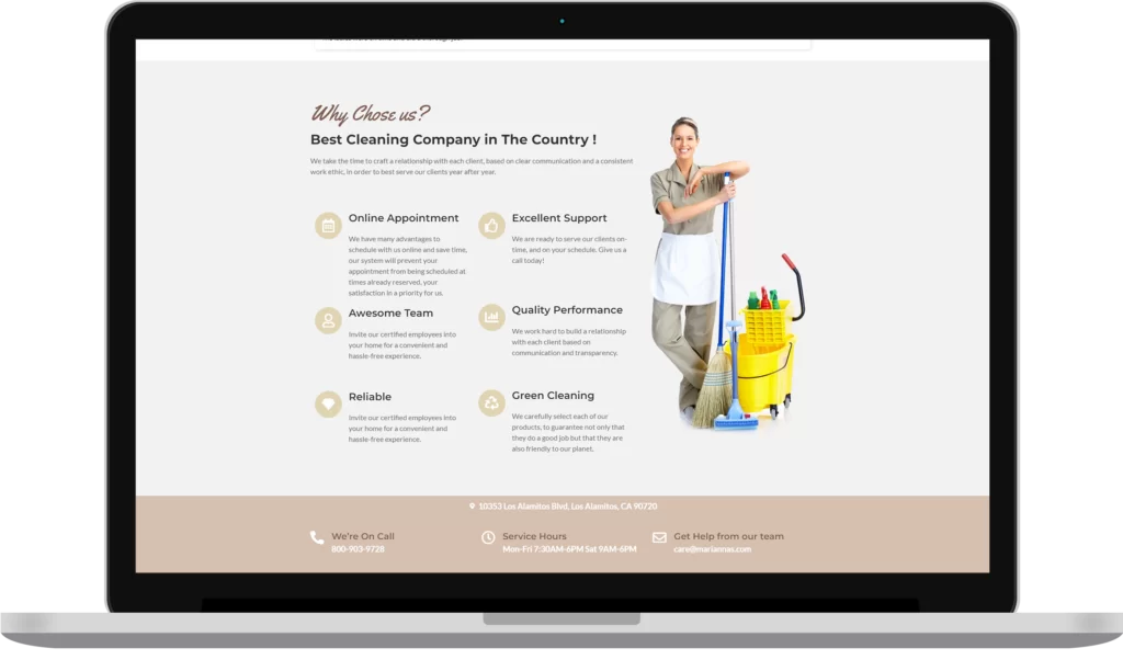 cleaning services website development